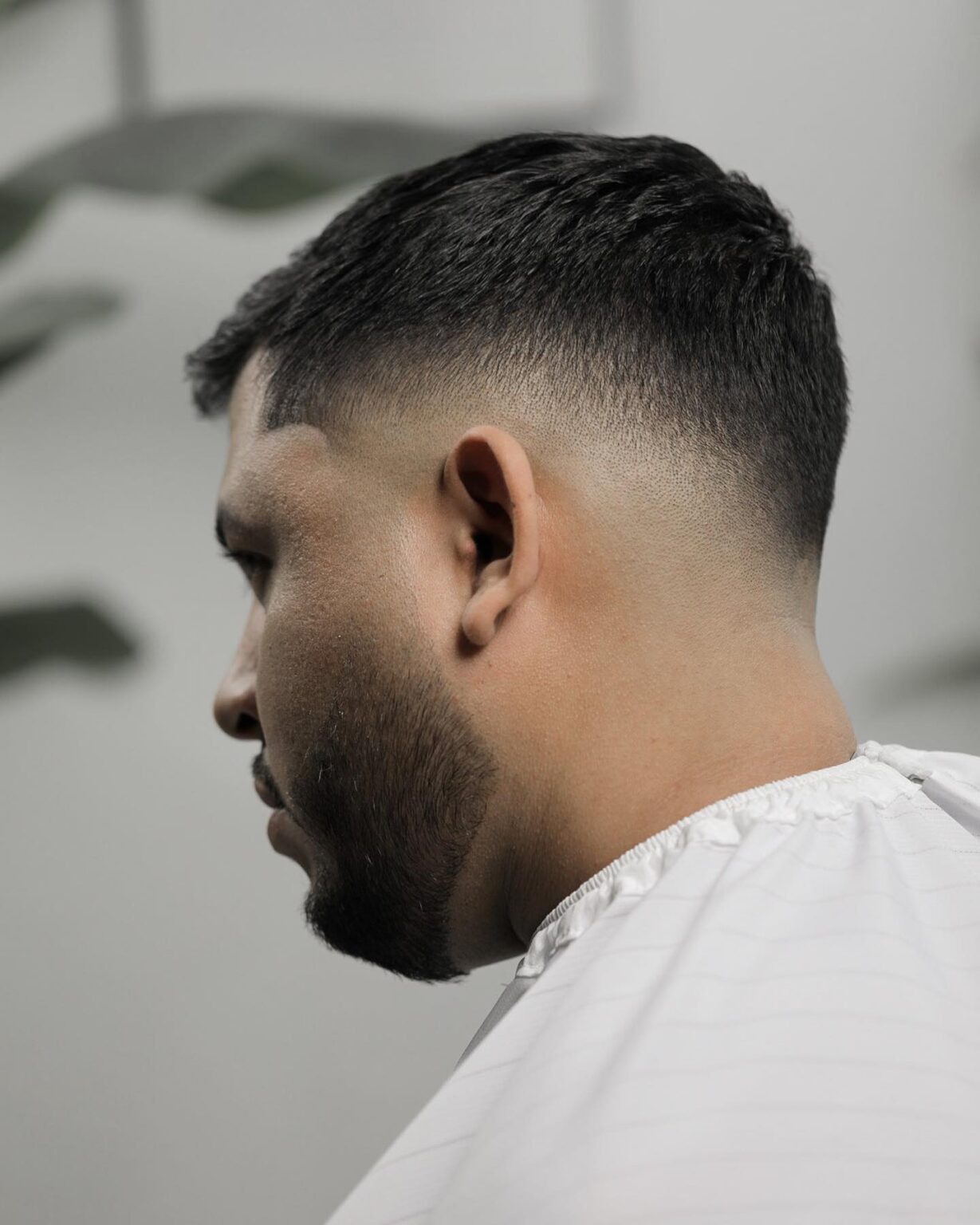 The Fluffy Edgar Haircut 45 - a6z9sil
